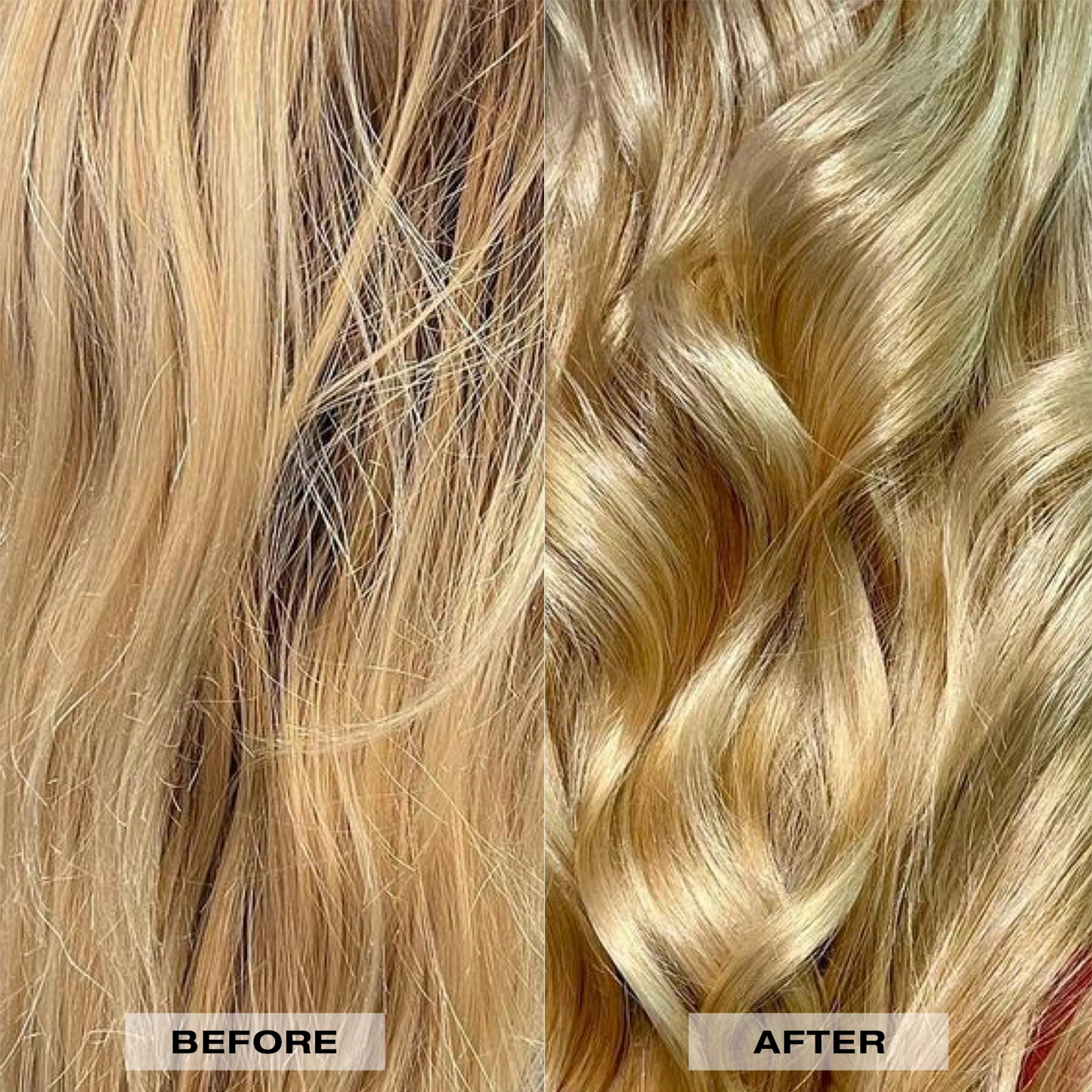 L'ANZA Healing Colorcare Color Clarifying Shampoo