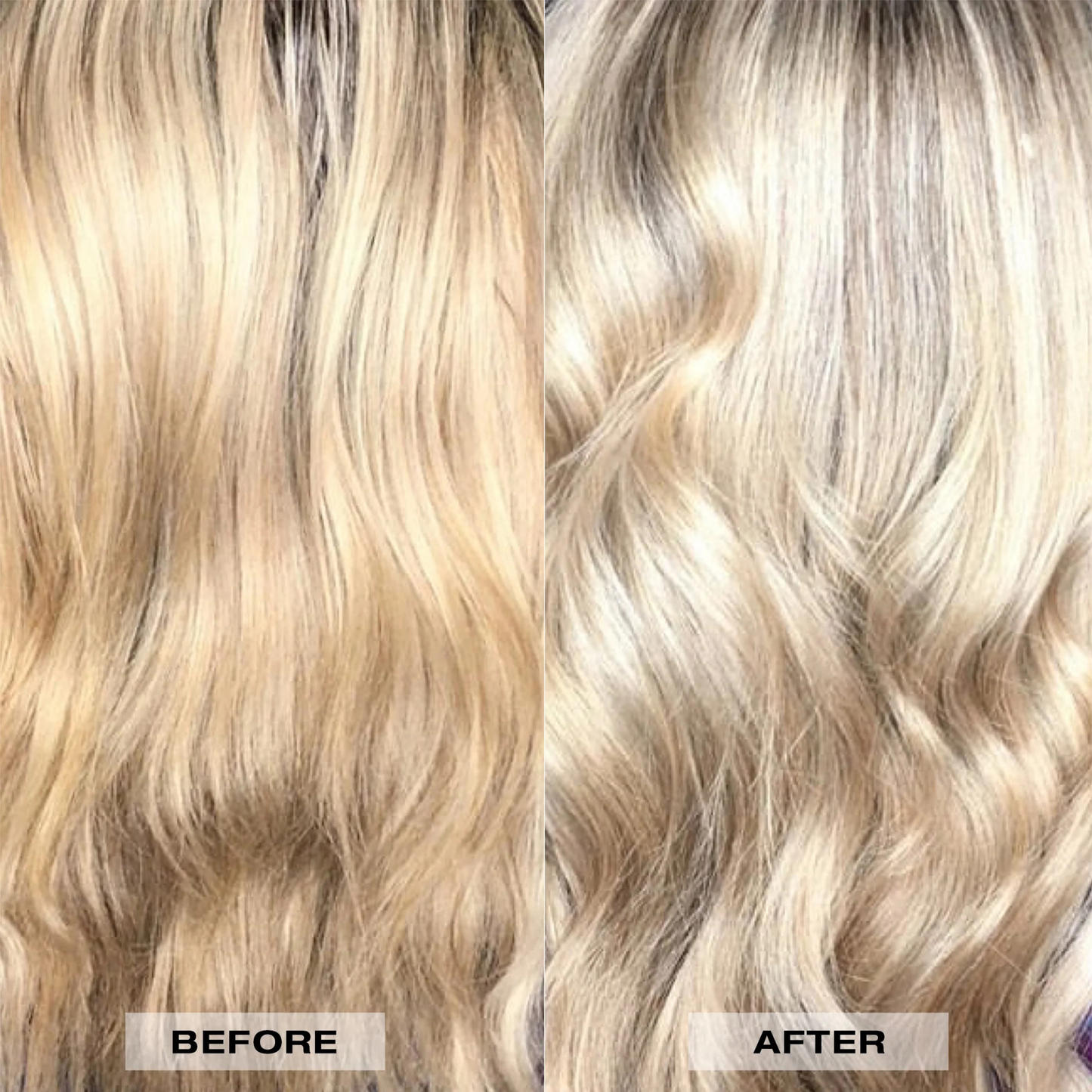L'ANZA Healing Colorcare Silver Brightening Shampoo