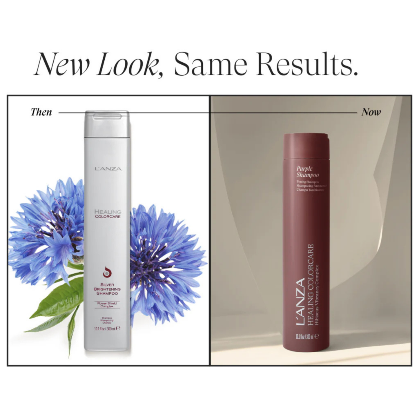 L'ANZA Healing Colorcare Silver Brightening Shampoo