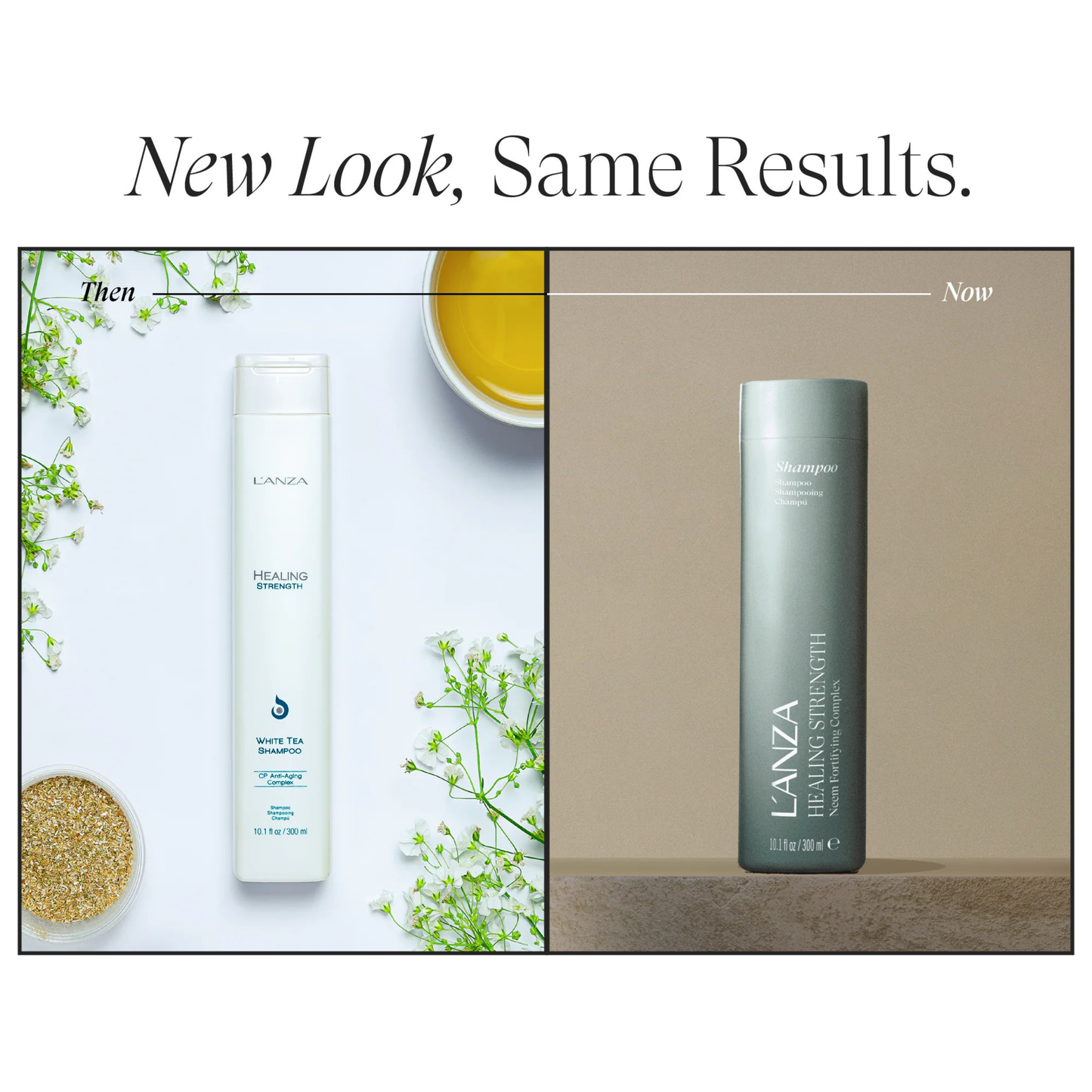 L'ANZA Healing Strength White Tea Shampoo